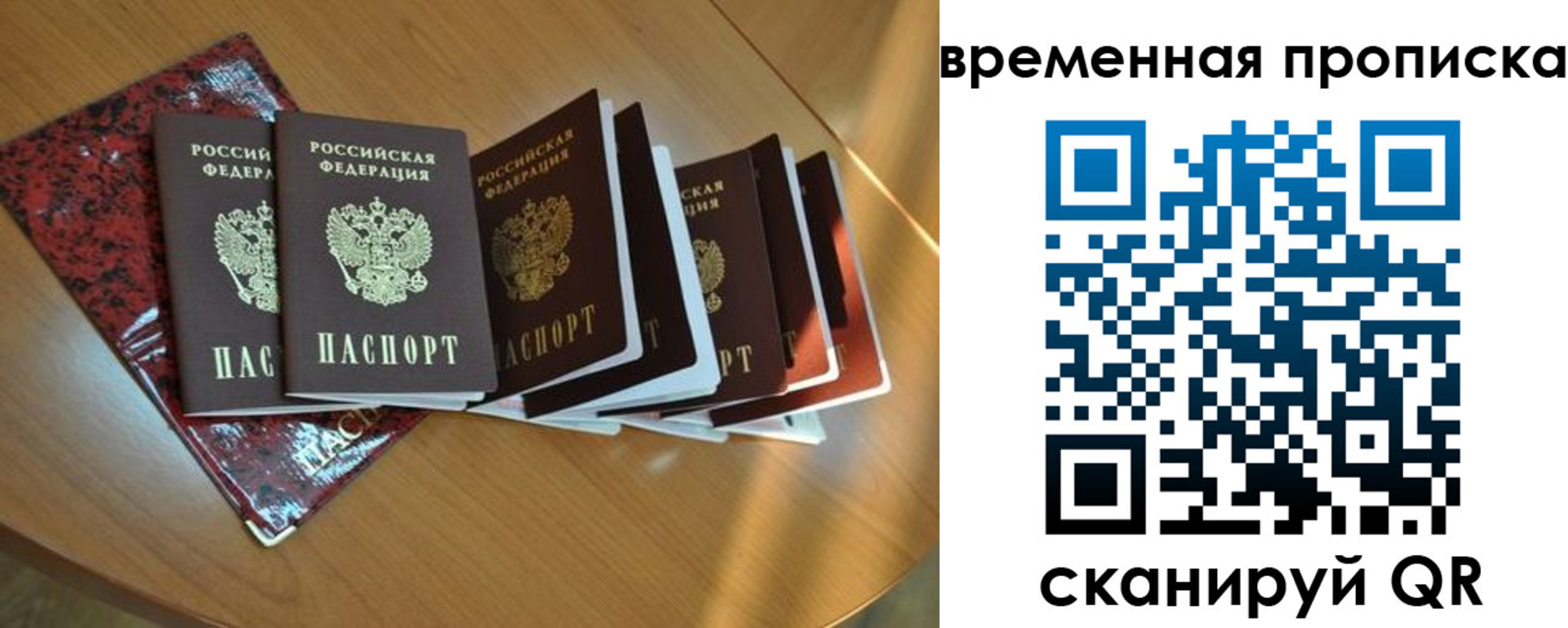 прописка в Шебекино